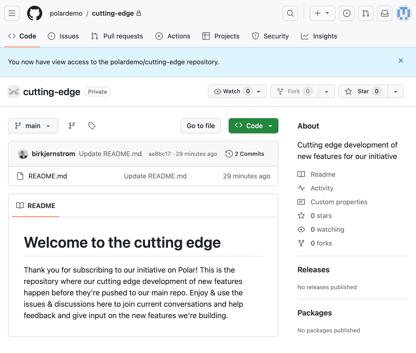 Subscriber seeing the repository on GitHub